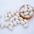 Natural Green Coffee Bean Softgel capsule for slimming